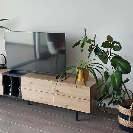 Apartman Drenova View