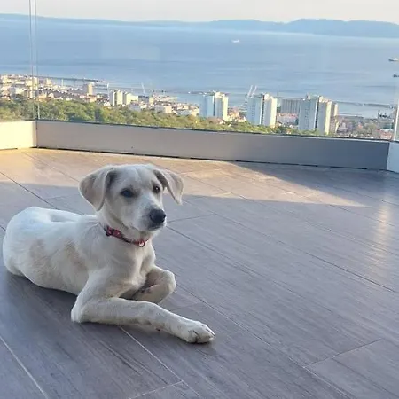 Apartman Drenova View *