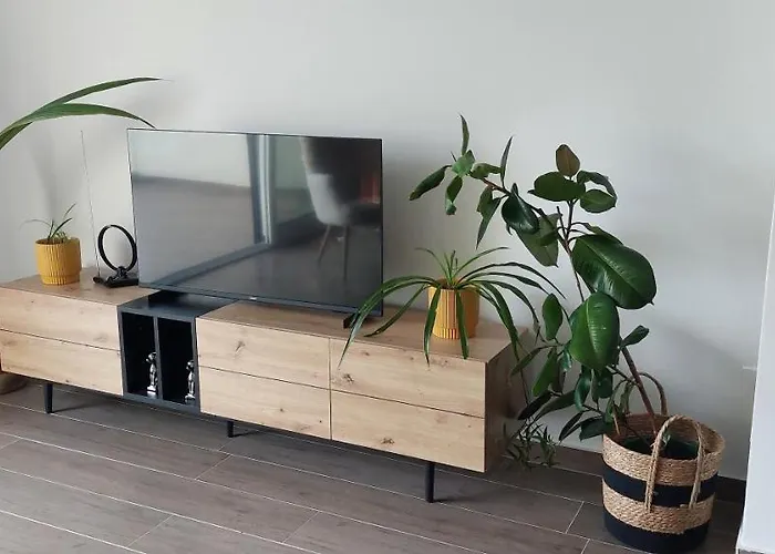 Apartman Drenova View