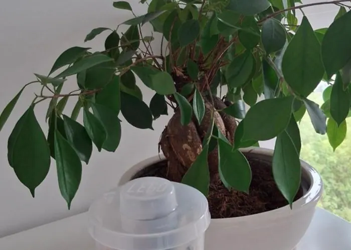 Apartman Drenova View